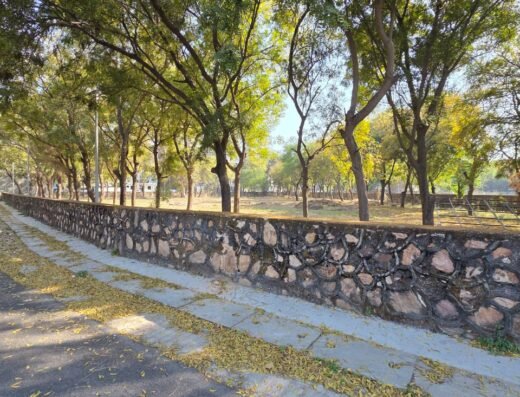 275 Square Yards Plot Sec 17 pkt B3